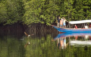 Экскурсия по мангровым джунглям с обедом